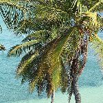 Romantic getaway in Florida Florida Keys United States Diary Information