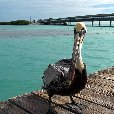 Romantic getaway in Florida Florida Keys United States Diary