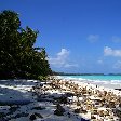   Majuro Atoll Marshall Islands Review Photo
