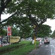 Georgetown's Botanical Gardens Guyana Photo