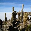 Uyuni salt flats tour Bolivia Diary Pictures