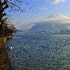 Thun Castle and Museum Switzerland Album Photographs