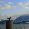 Thun Castle and Museum Switzerland Blog Photography