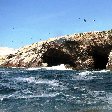 Reserva Nacional de Paracas near Pisco Peru Album Sharing