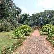 Bogor Botanical Garden Indonesia Photograph