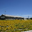 Robben Island Tour Cape Town South Africa Travel Photo