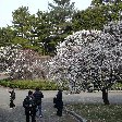 Imperial Palace Tokyo Japan Review Picture