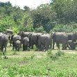 Uganda tours and safaris Masindi Review Picture