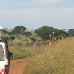 Uganda tours and safaris Masindi Travel Information