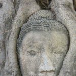Ayutthaya tour Thailand Trip Picture