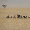 Namibia Kalahari Desert lodge safari Otjiwarongo Blog Sharing