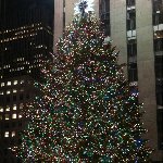 Christmas holiday in New York United States Vacation Photos