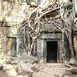 Tuk tuk temple tour in Siem Reap Angkor Cambodia Vacation Picture