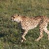 Kenya Tours and Safaris Tsavo Blog Photo