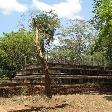 Ancient City Polonnaruwa Sri Lanka Tour Story Sharing