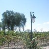 Wineries in Mendoza, cycling tour Argentina