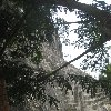 Pictures of the Mayan Ruins in Tikal National Park, Guatemala Guatemala